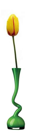jarrón verde