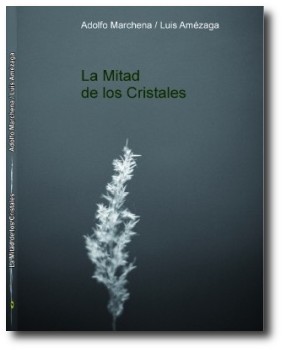 portada del libro la mitad de los cristales