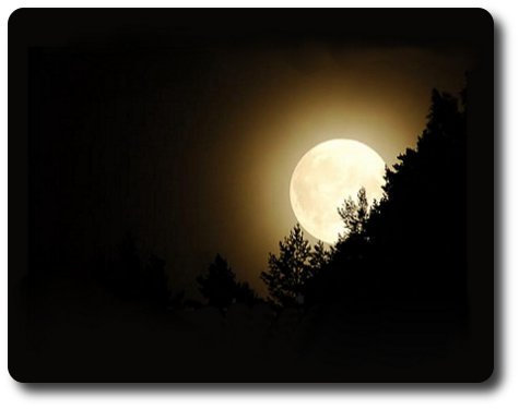 poema de Delfina Acosta