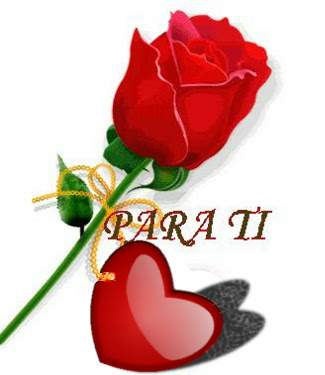 Una rosa para ti, y tú sin darte cuenta