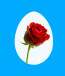 Mª Esther Ruiz Zumel, poeta