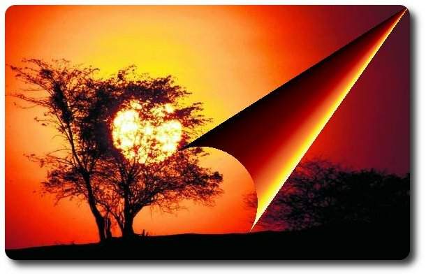 Solsticio en la ma?ana, poema de  Macarena Cardozo