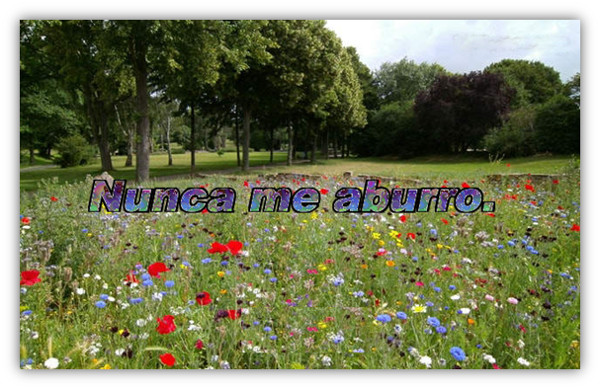 relato de &Aacute;ngel M. Alcal&aacute; 