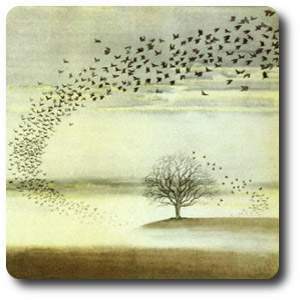 viento