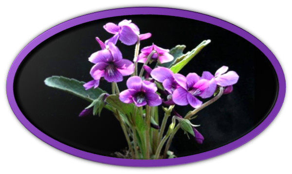 poema de  Luj&aacute;n Fraix