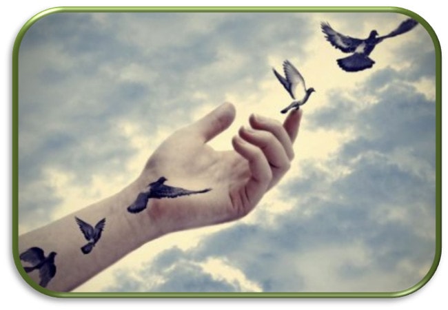 poema de Noemí Mocco