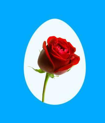 Mª Esther Ruiz Zumel, poeta 