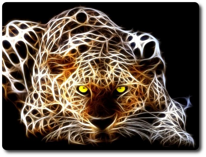 misterioso jaguar