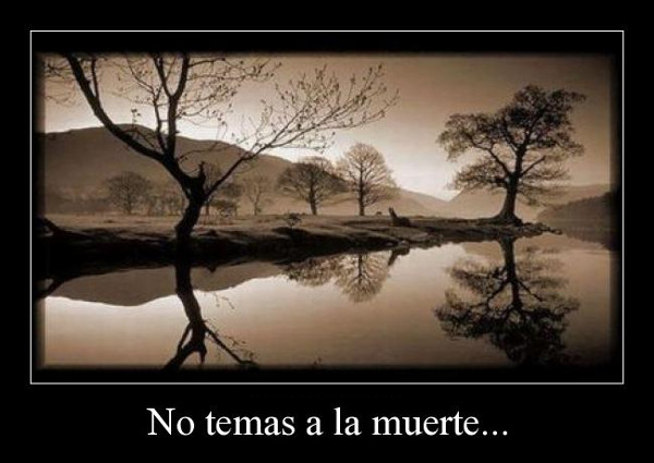 poesía de Mª Esther Ruiz