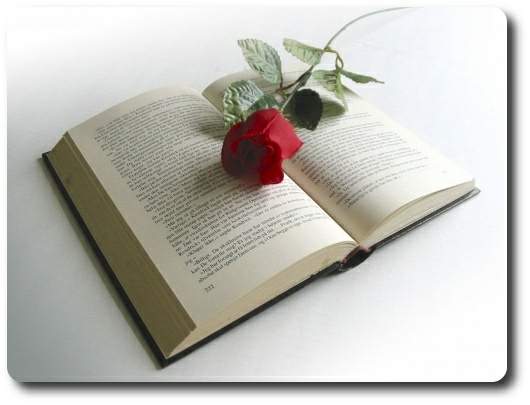oda al poema perfecto, poesía de Lumy Quint