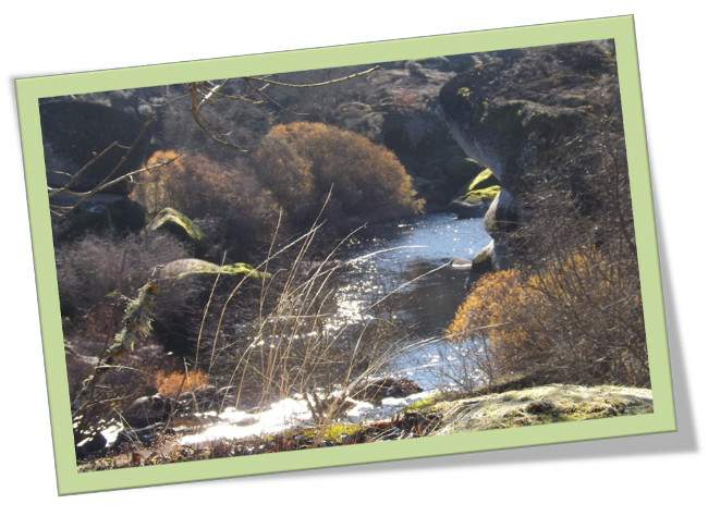 poema de Antonio Garc&iacute;a Castro. M&uacute;sico, poeta y compositor