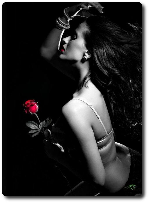 no quiero, poema de Mar&iacute;a A.F,