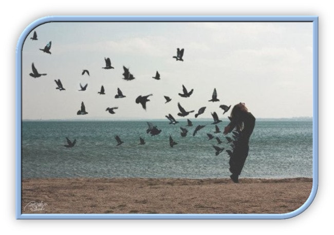 poema de  Fernando Enrique Z&aacute;rate