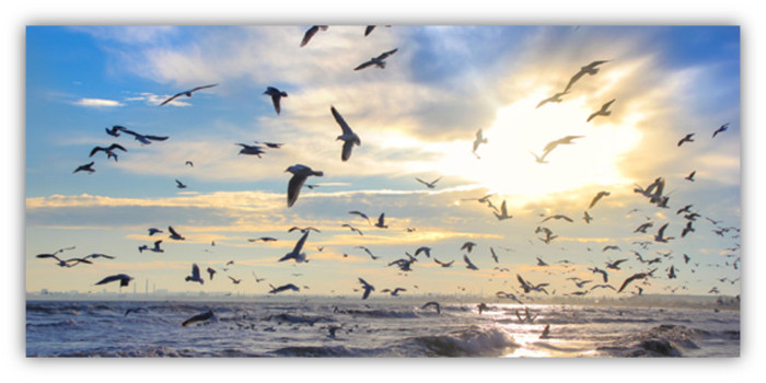 relato de Lola Sanchez