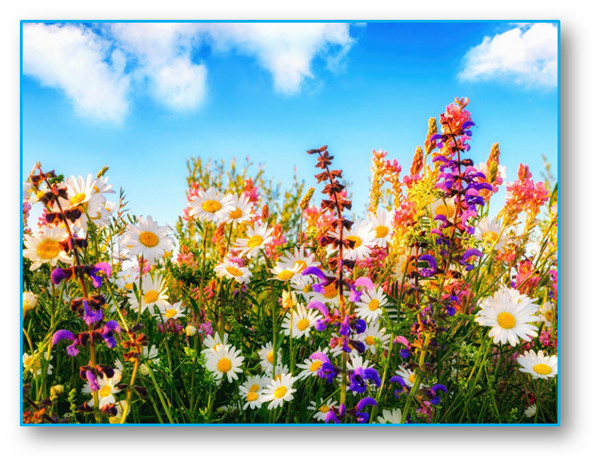 poema de la escritora y poeta cubana  Alianet Bravo Rodr&iacute;guez