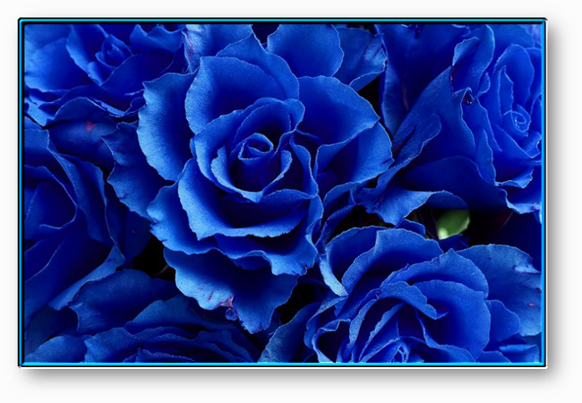 poema de la Escritora y poeta Eva 
                    Isabel Ruiz Barrios 