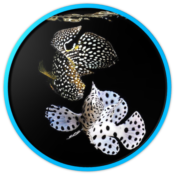 la escritora y poeta espa&ntilde;ola  Maripau Gonz&aacute;lez