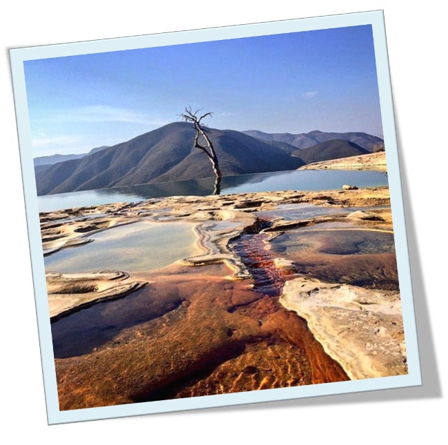 poema de  Concha Garc&iacute;a 