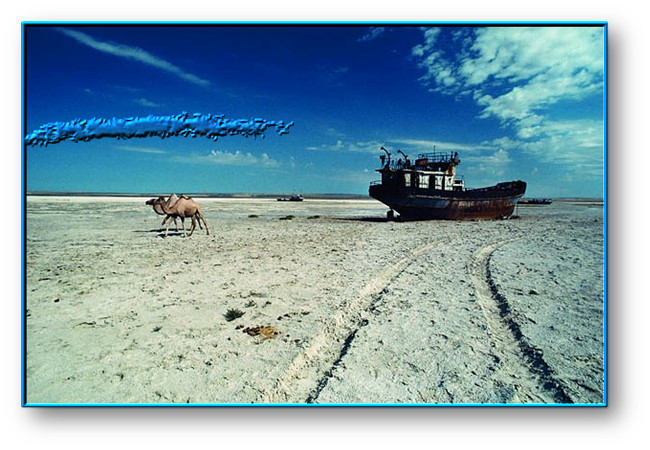 poema de José Luis Posa